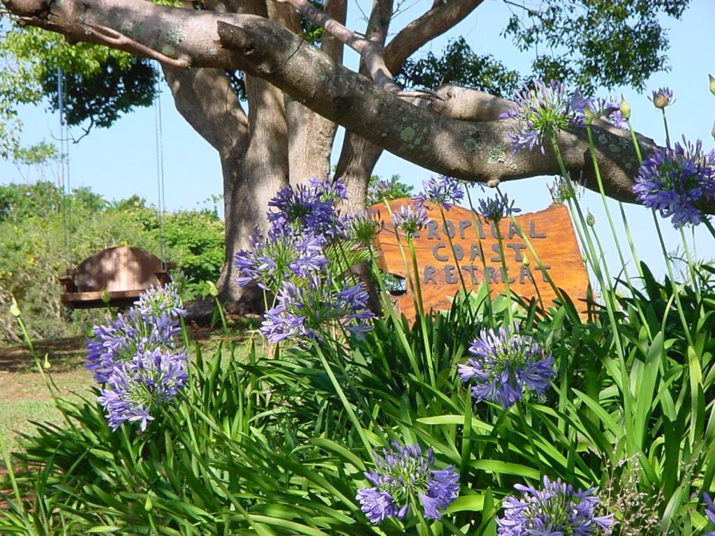 Tropical Coast Retreat - Pet Friendly - Adult Only Guest House Kingscliff Exterior photo