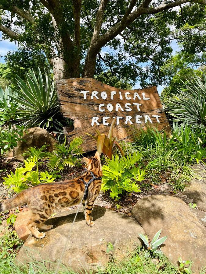 Tropical Coast Retreat - Pet Friendly - Adult Only Guest House Kingscliff Exterior photo