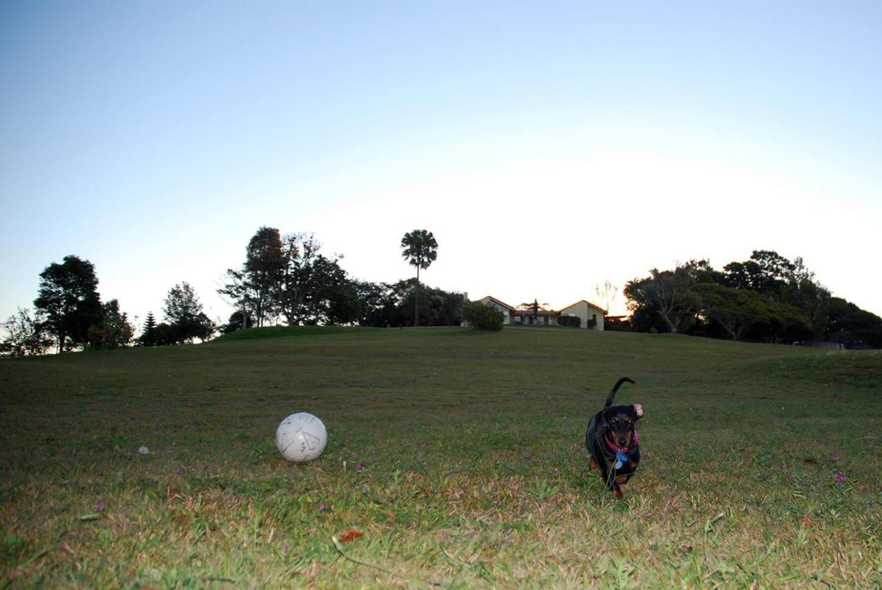 Tropical Coast Retreat - Pet Friendly - Adult Only Guest House Kingscliff Exterior photo