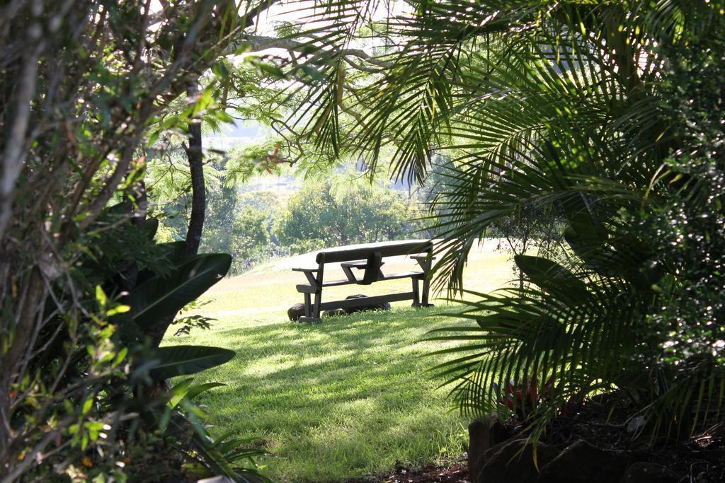 Tropical Coast Retreat - Pet Friendly - Adult Only Guest House Kingscliff Exterior photo