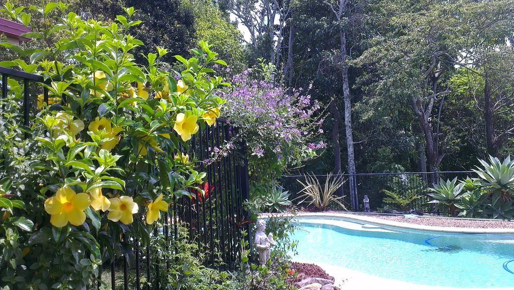 Tropical Coast Retreat - Pet Friendly - Adult Only Guest House Kingscliff Exterior photo