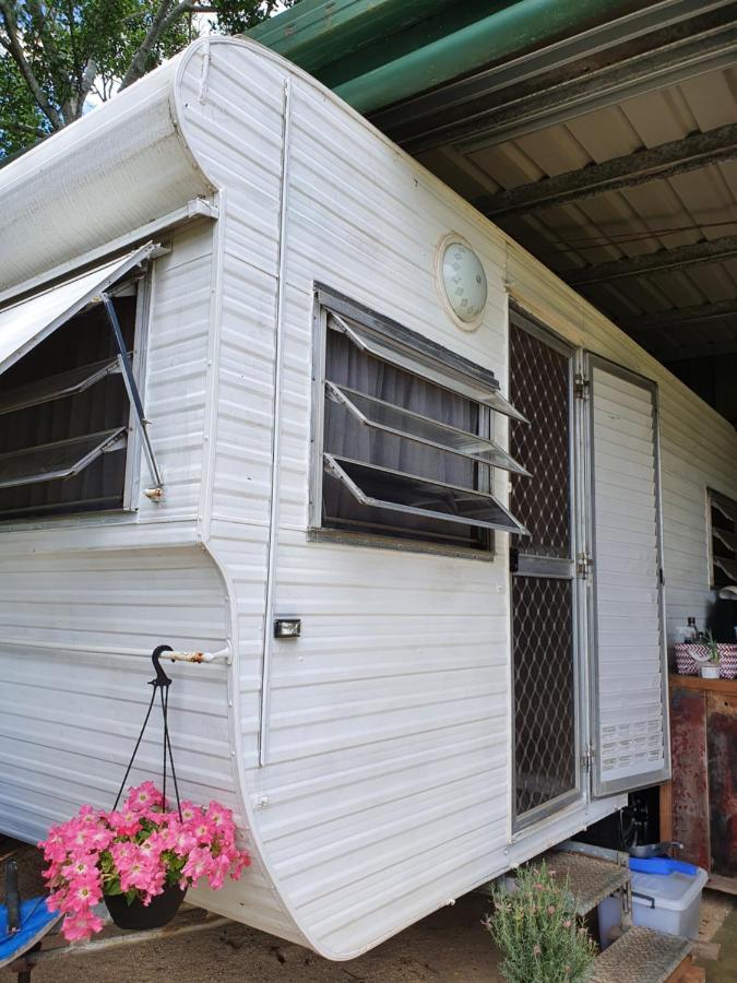 Tropical Coast Retreat - Pet Friendly - Adult Only Guest House Kingscliff Room photo