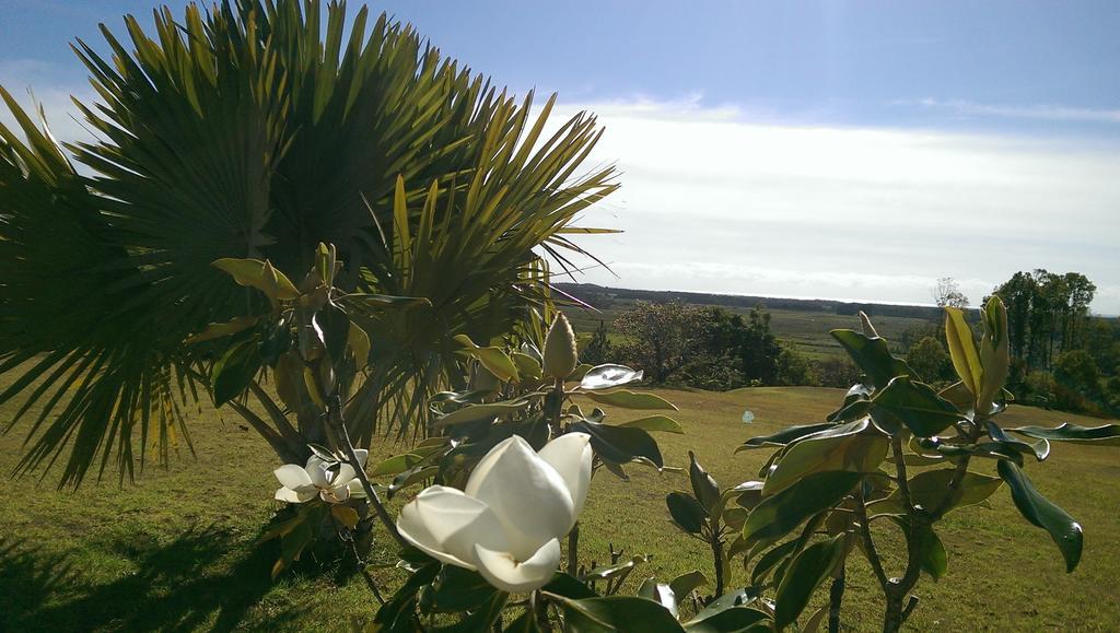 Tropical Coast Retreat - Pet Friendly - Adult Only Guest House Kingscliff Exterior photo